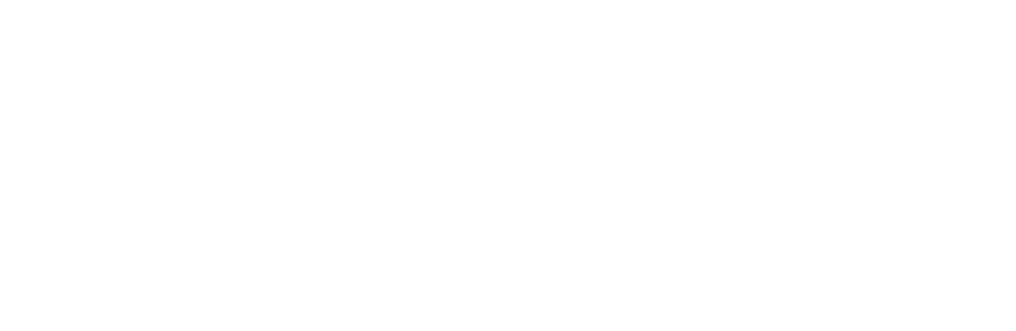 Siesing Totalbyg